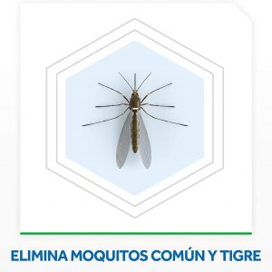 Recharge pour diffuseur électrique anti moustiques commun et tigre 135 nuits - Raid – Image 10