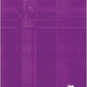Cahier grand format 24 x 32 96 pages séyès - Clairefontaine – Image 5