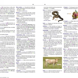 Dictionnaire junior 7-11 ans Relié – Illustré, 8 juin 2022 - LAROUSSE – Image 2