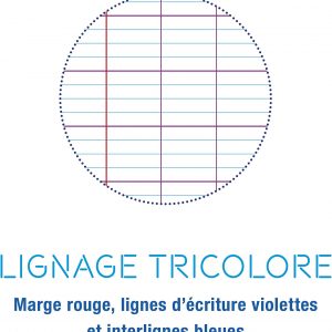 Cahier essai 96 pages 17x22 56g grands carreaux, Couverture carte offset, Couleur aléatoire - Calligraphe 5422C – Image 2
