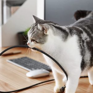 Câble HDMI 4K Ultra HD 4k en Nylon Tressé Supporte 3D HDR Retour Audio - UGREEN – Image 5