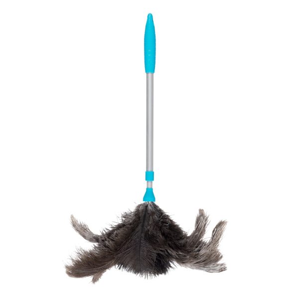 plumeau d'autruche extensible Bosque Verde