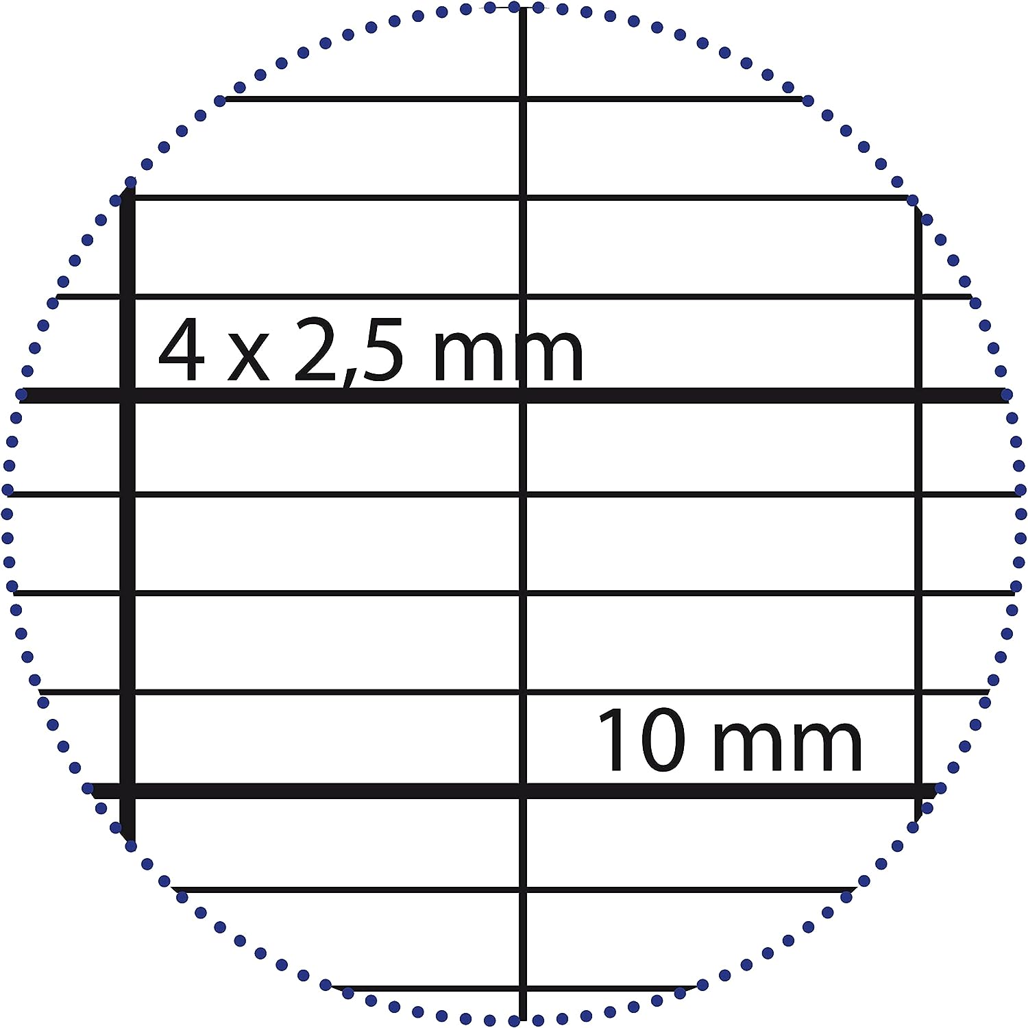 Clairefontaine 4729C Un Étui de Copies Doubles Perforées Déficients Visuels – A4 21×29,7 cm – 96 Pages Grands Carreaux Noirs 2,5 mm Agrandi 10:10 – Papier Blanc 90 g – Étui Réutilisable – 1