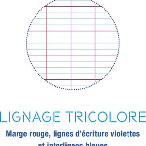 Cahier de brouillon - 17x22 cm - 96 pages grands carreaux - Calligraphe – Image 3
