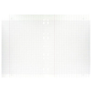50 copies doubles de 200 pages, 21x29,7 cm séyès 70g blanc - Calligraphe – Image 2